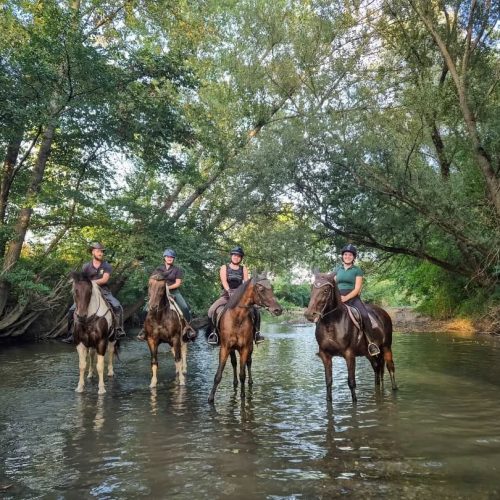 536245431 18016010636773911 2188722737860601530 n